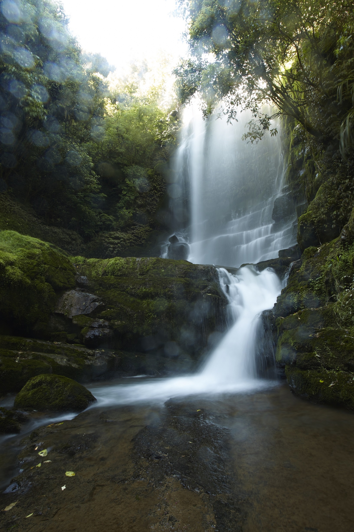 Photo of property: Waitanguru Falls