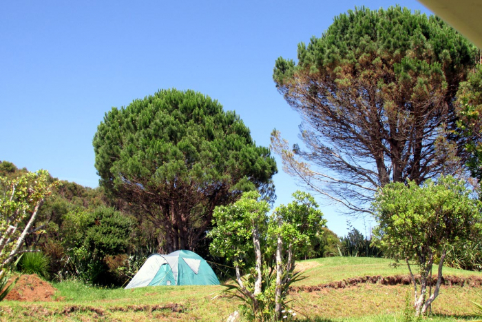 Photo of property: Camping Area
